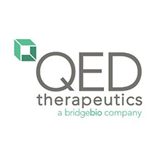 QED-Logo